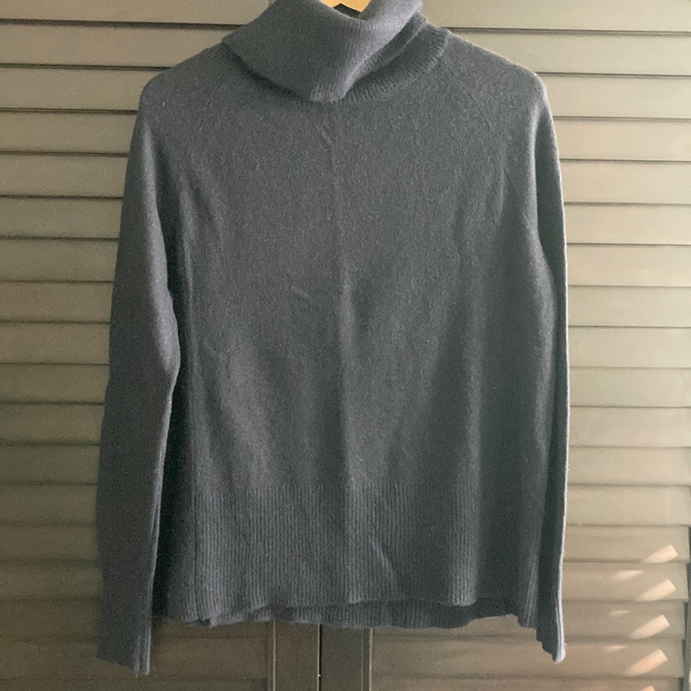 Aritzia Community Oversized Turtleneck Sweater
